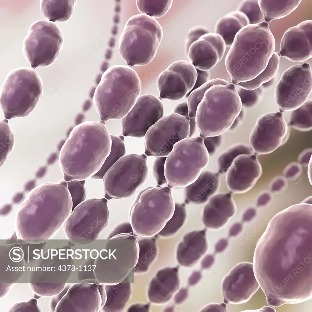 Stylized close-up view of cocci bacterium. Staphylococci, Enterococci, and Streptococci are all types of cocci bacteria.