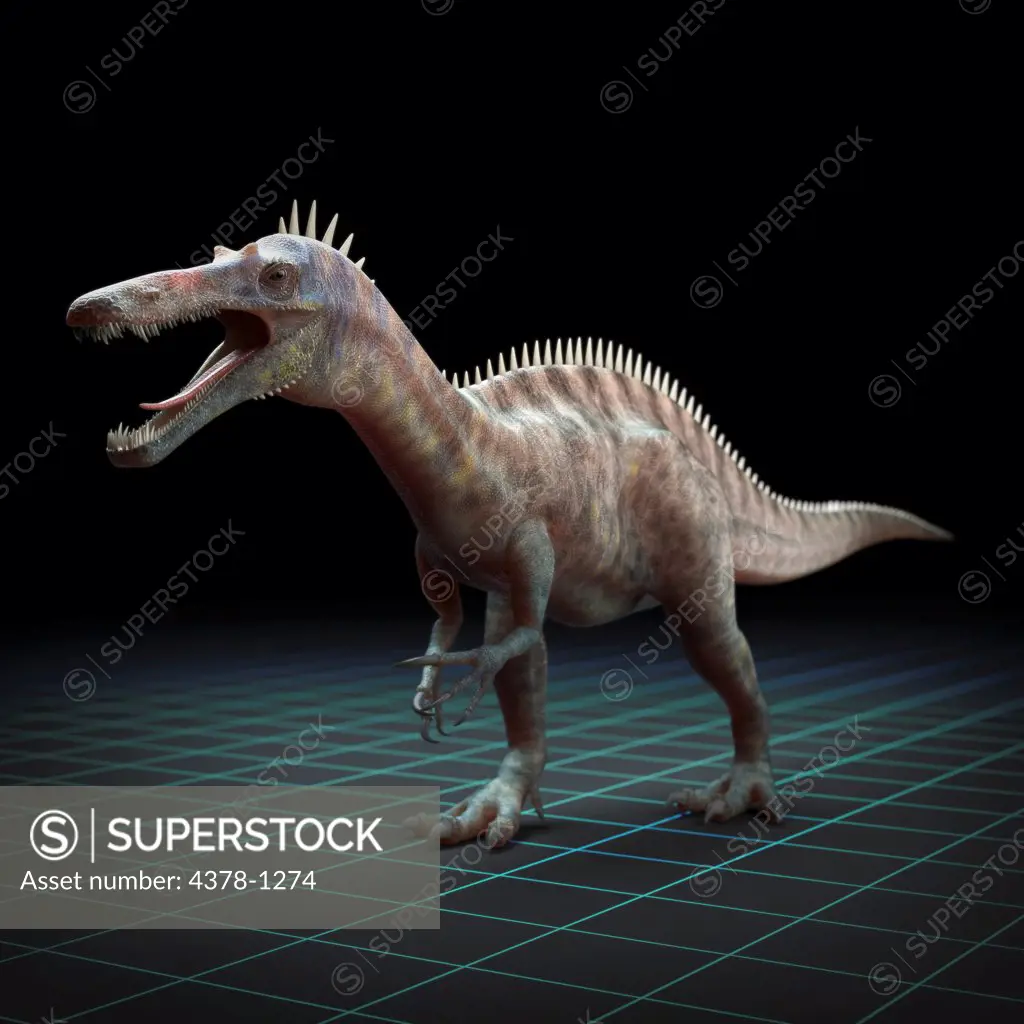 Model of a Suchomimus dinosaur.