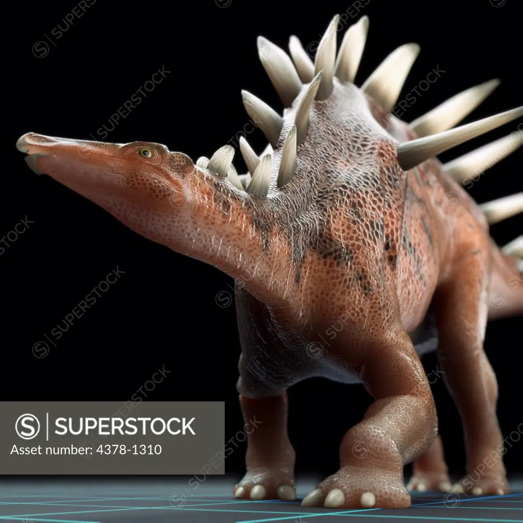 Model of a Kentrosaurus dinosaur.