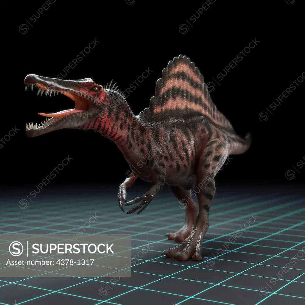 Model of a Spinosaur dinosaur.