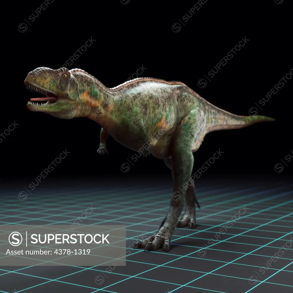 Model of a Aucasauruseye dinosaur.