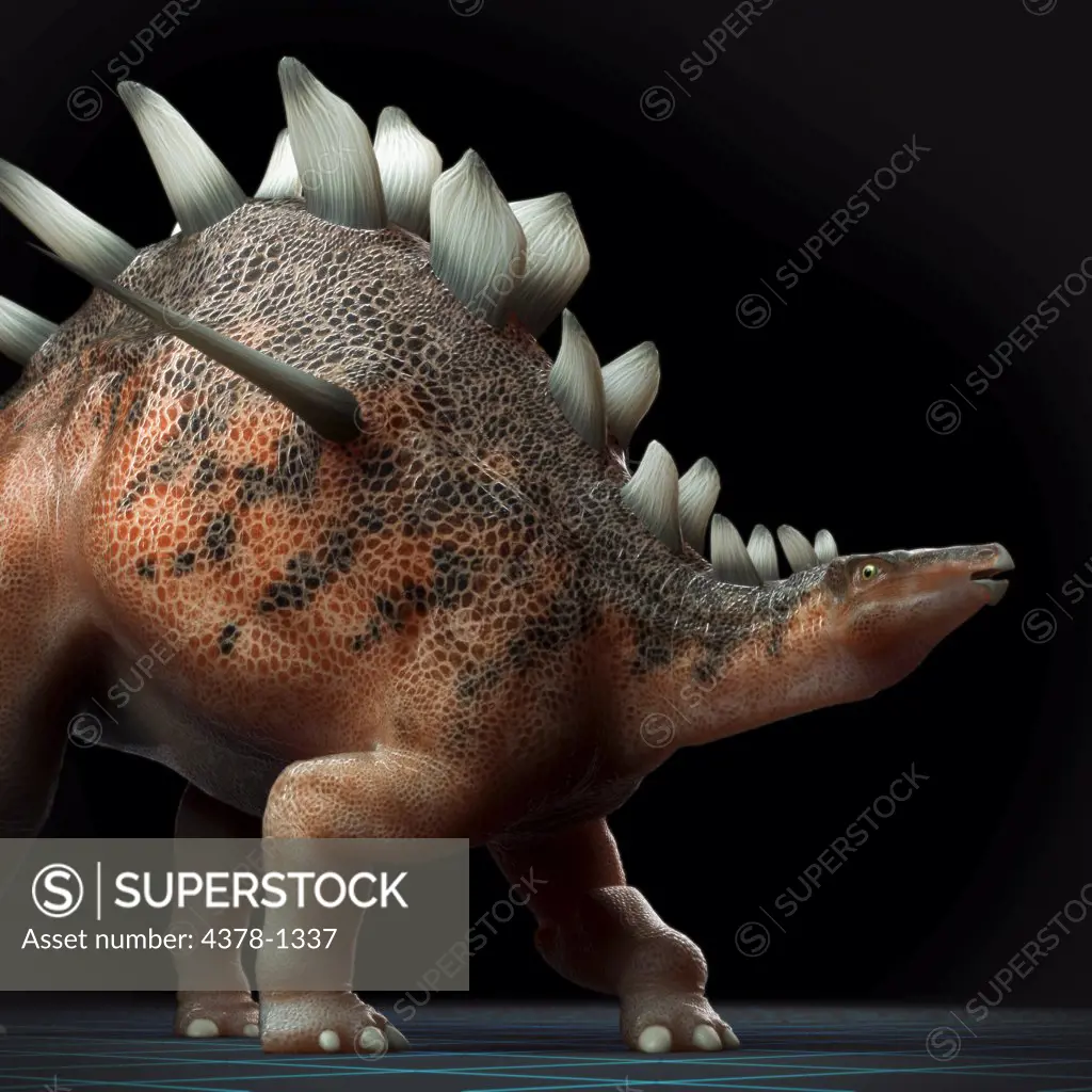 Model of a Kentrosaurus dinosaur.