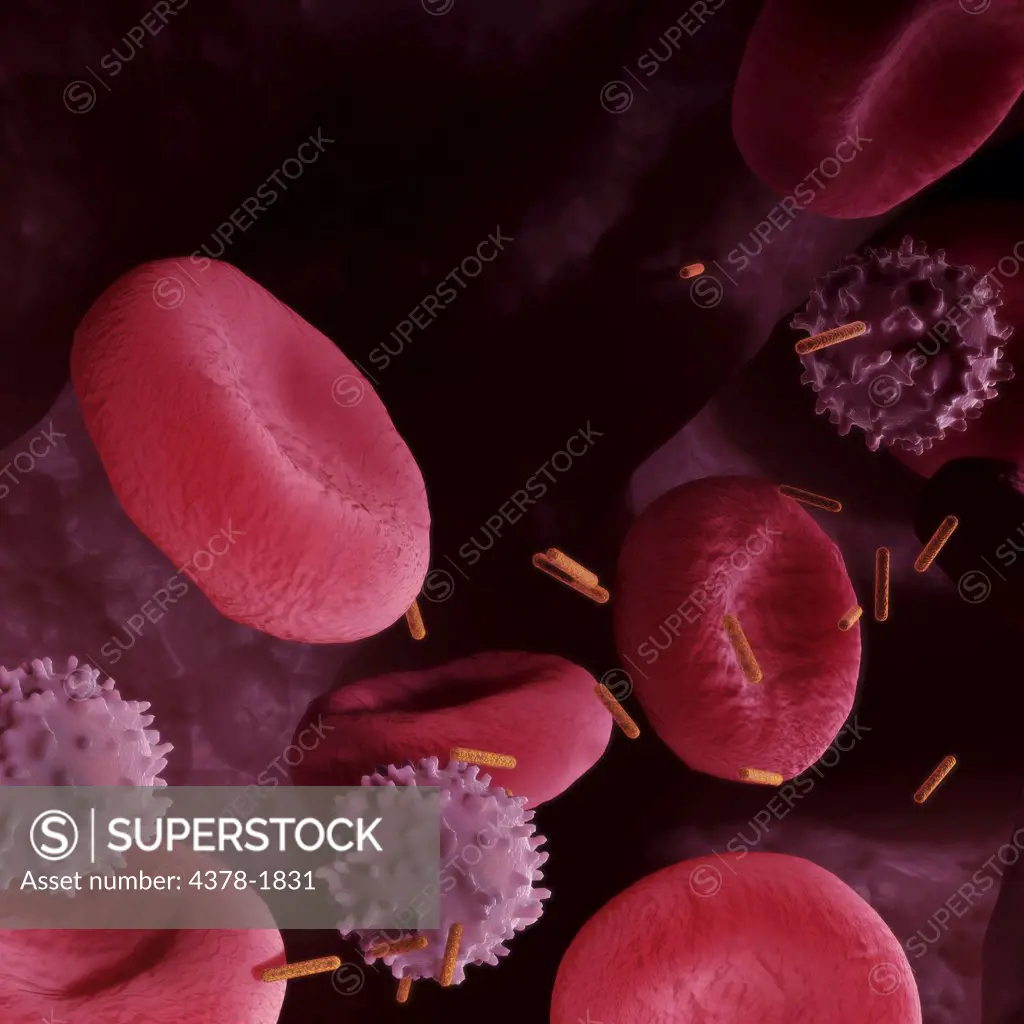 Nanorods circulating in the bloodstream.