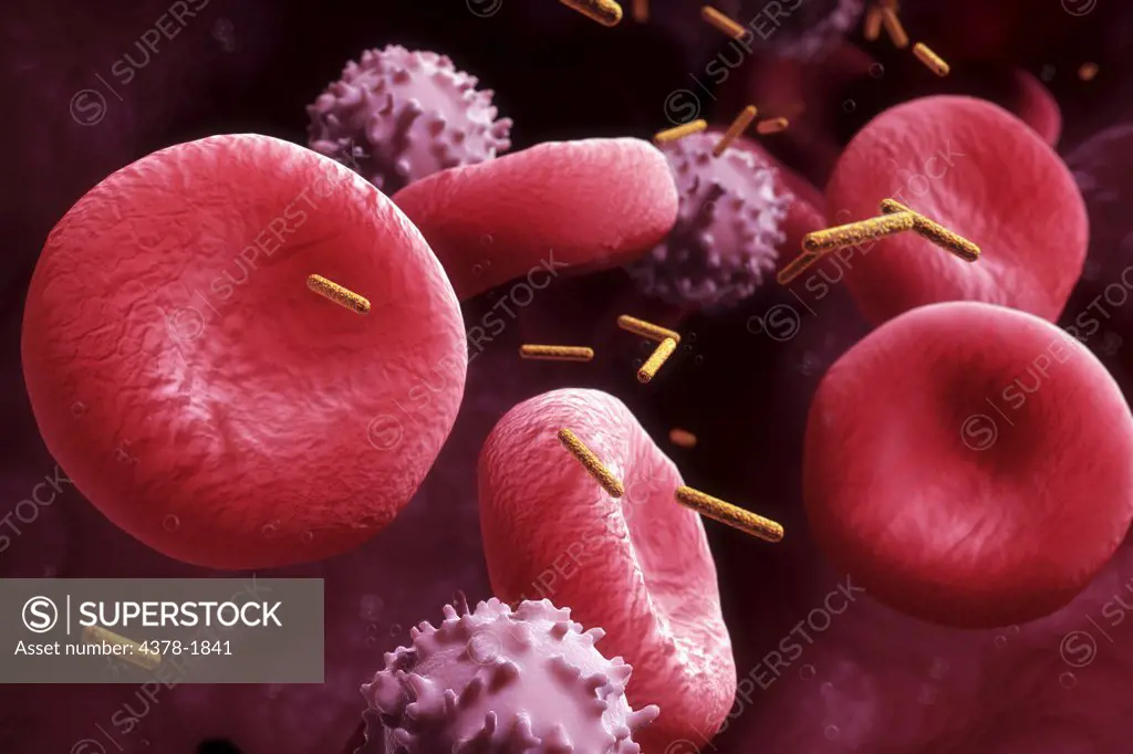 Nanorods circulating in the bloodstream.