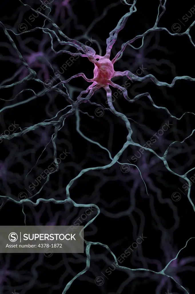 Neurons connecting at synapses.