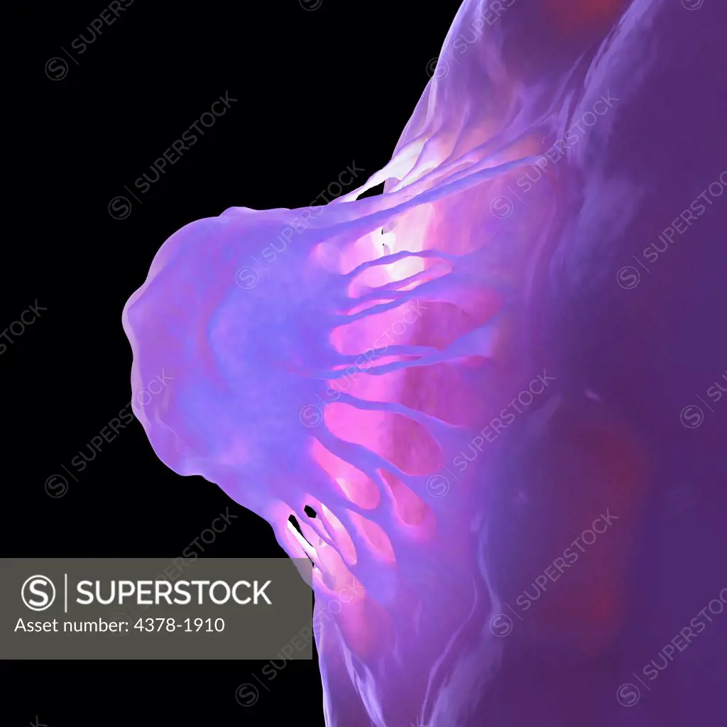 Purple stem cell.