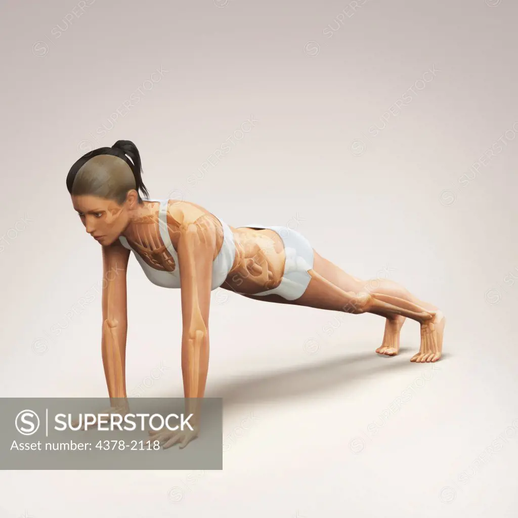 Skeleton layered over a female body in plank pose showing the skeletal alignment of this particular yoga posture.