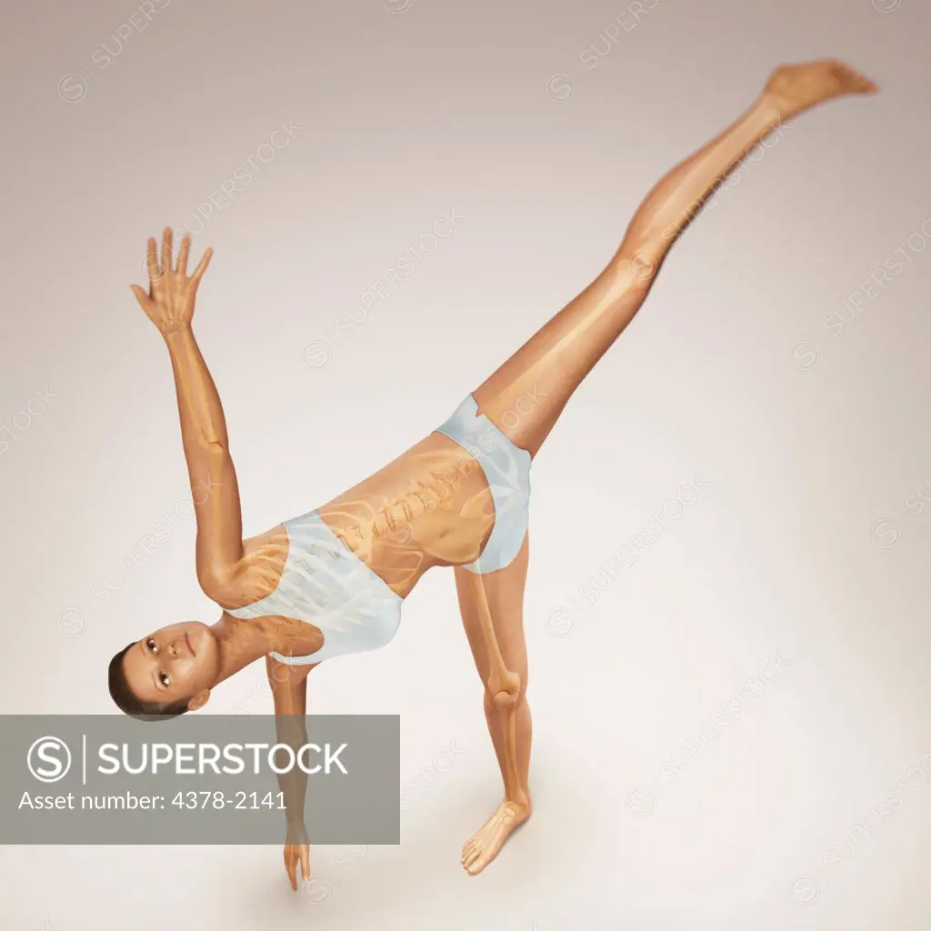 Skeleton layered over a female body in half moon pose showing the skeletal alignment of this particular yoga posture.