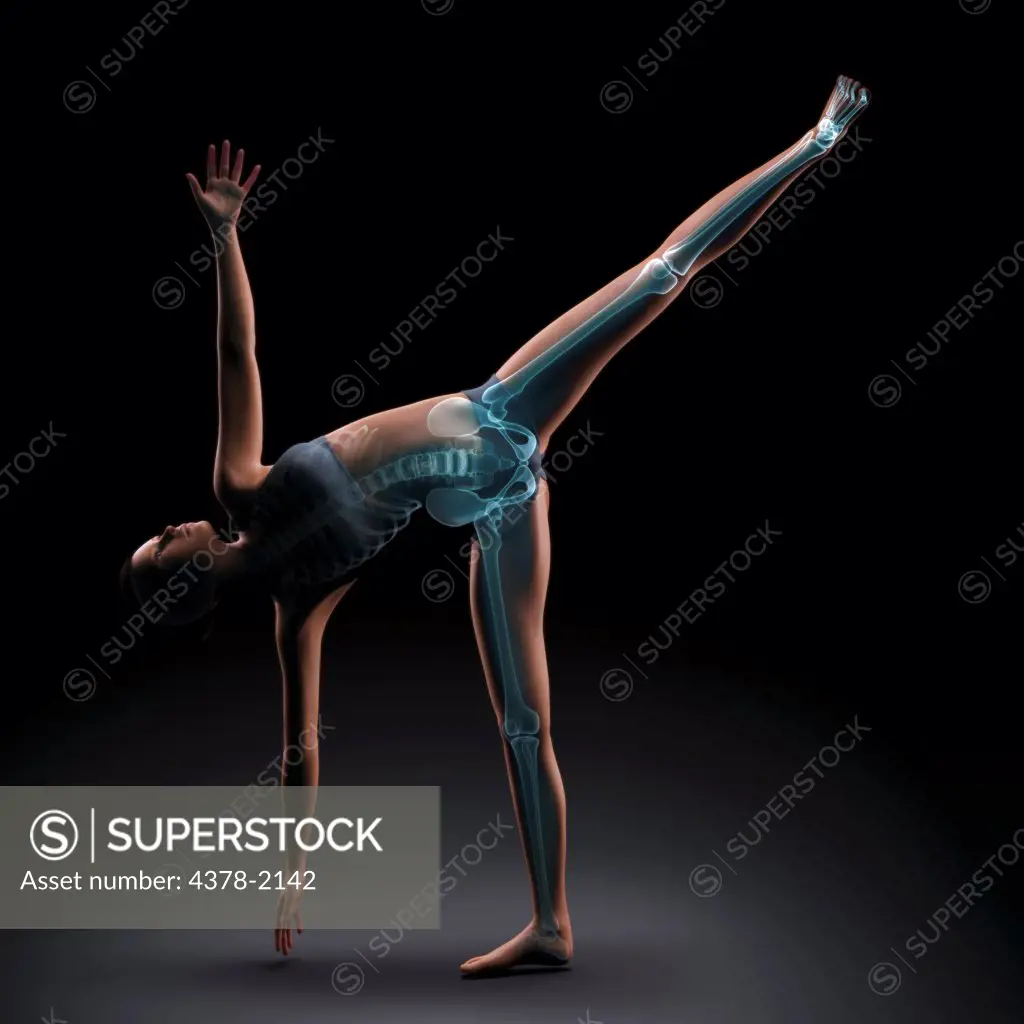 Skeleton layered over a female body in half moon pose showing the skeletal alignment of this particular yoga posture.
