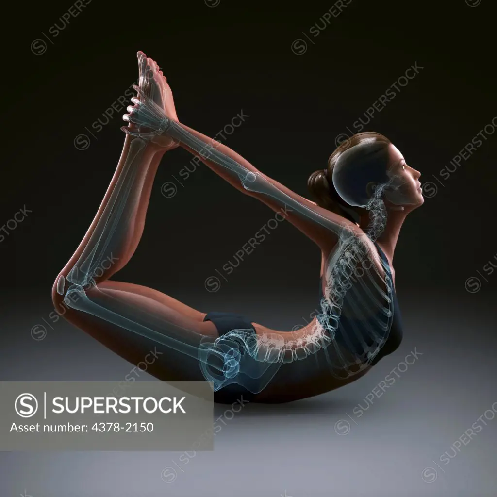 Skeleton layered over a female body in bow pose showing skeletal alignment in this particular yoga posture.