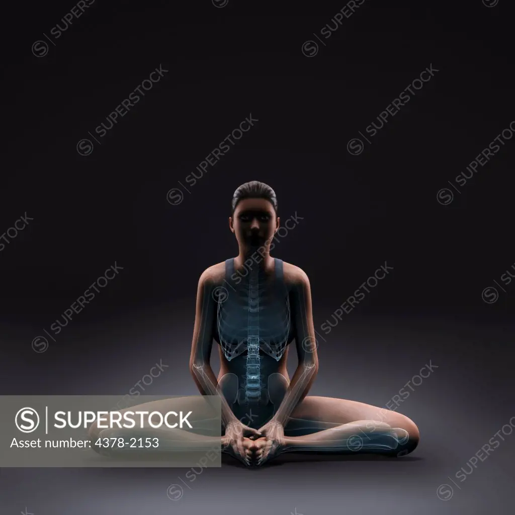 Skeleton layered over a female body in the bound angle pose showing skeletal activity in this particular yoga posture.