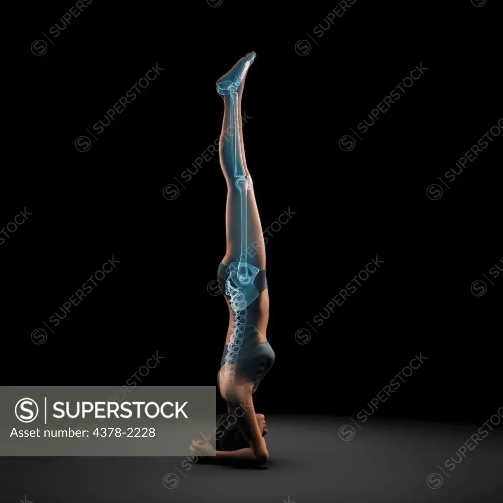 Skeleton layered over a female body in headstand pose showing the skeletal alignment of this particular yoga posture.