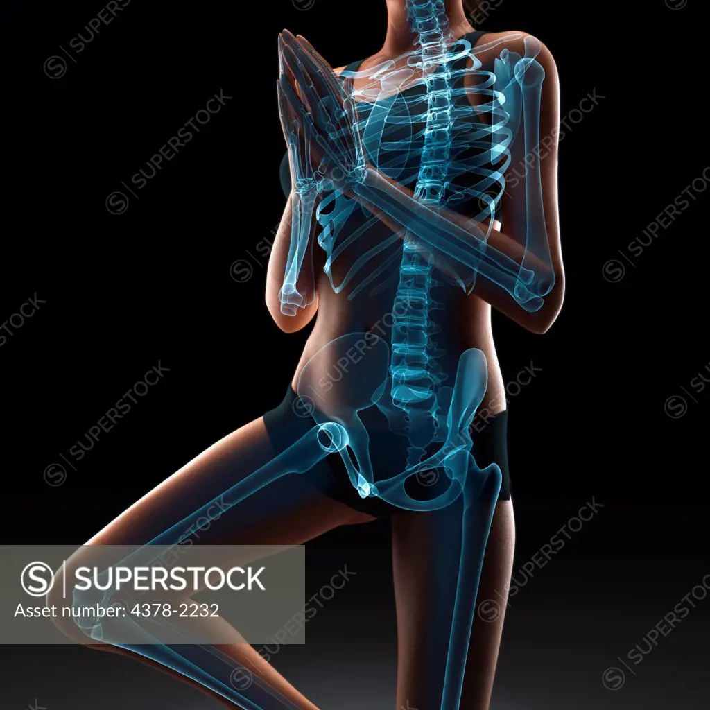 Skeleton layered over a female body in the tree pose showing the skeletal alignment of this particular yoga posture.