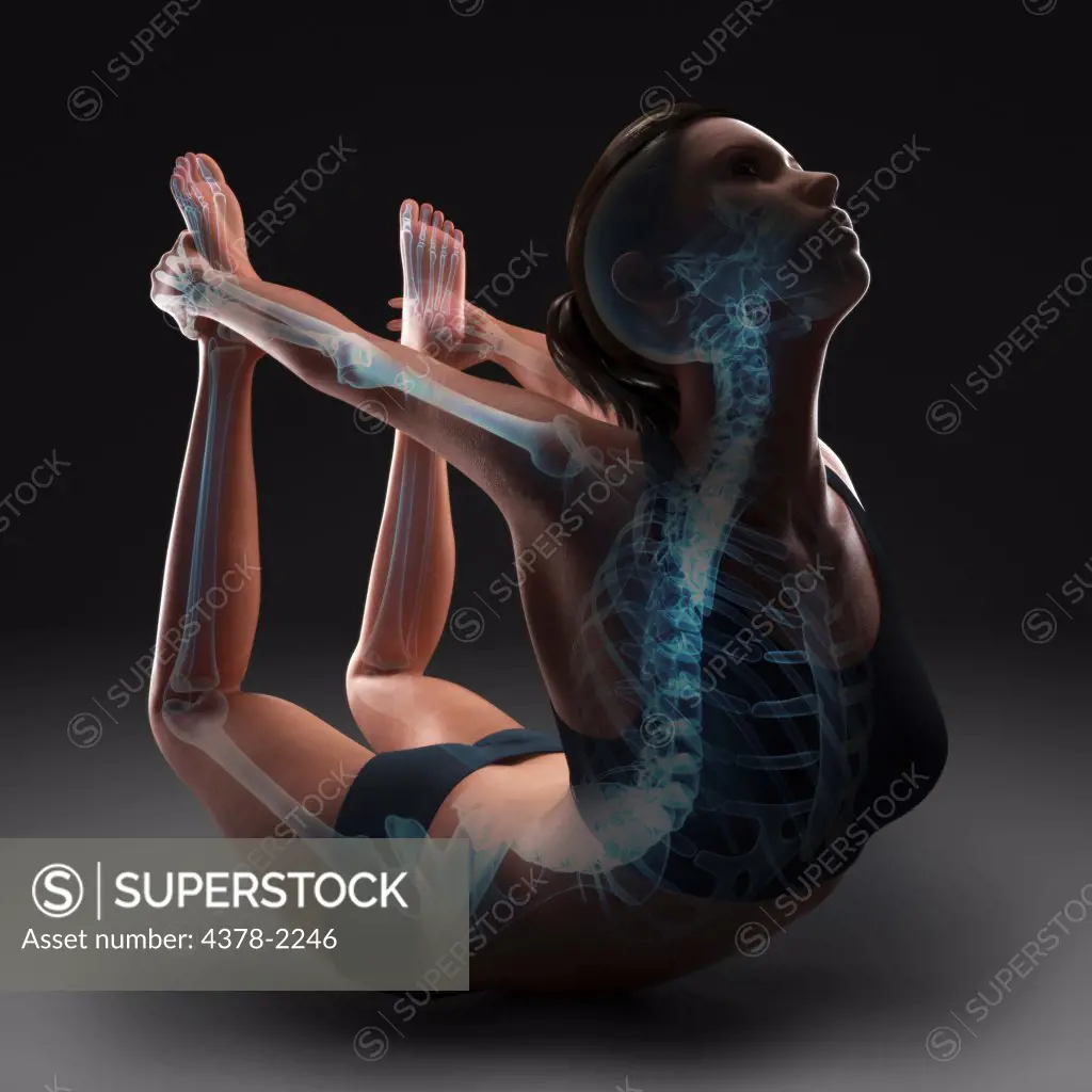 Skeleton layered over a female body in bow pose showing skeletal activity in this particular yoga posture.
