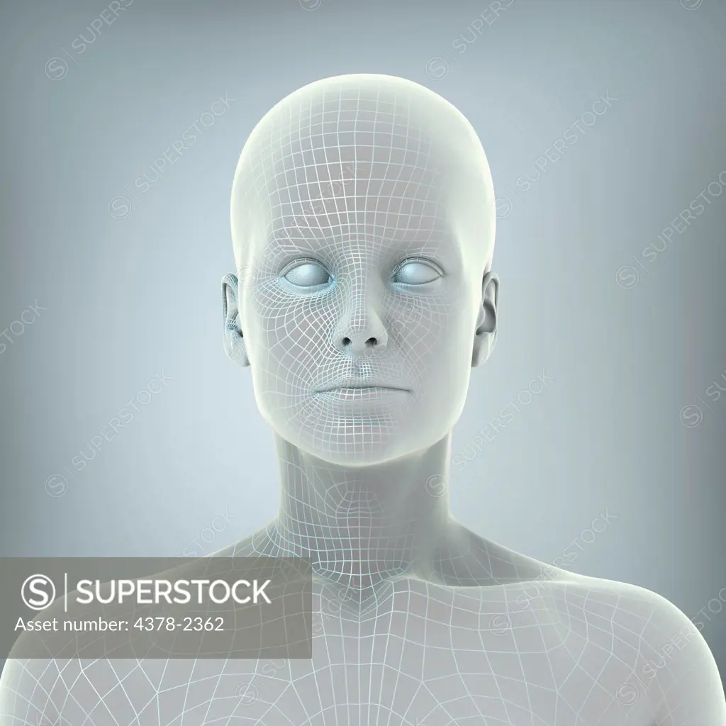 Wire frame model layered over a face to represent a digital human being.