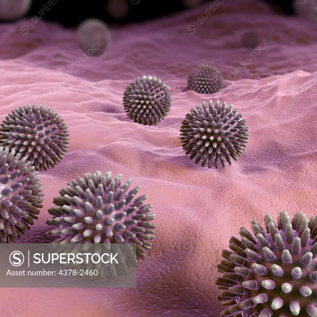 Clusters of H1N1 virus particles.