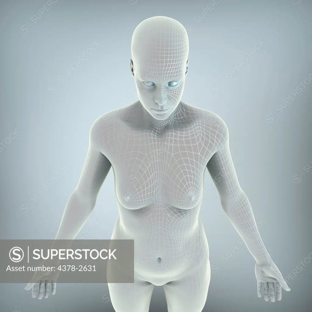 Wire frame model layered over a body to represent a digital human being.