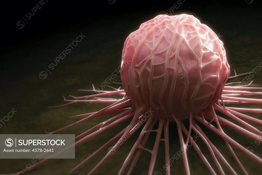 Close up view of a single breast cancer cell.