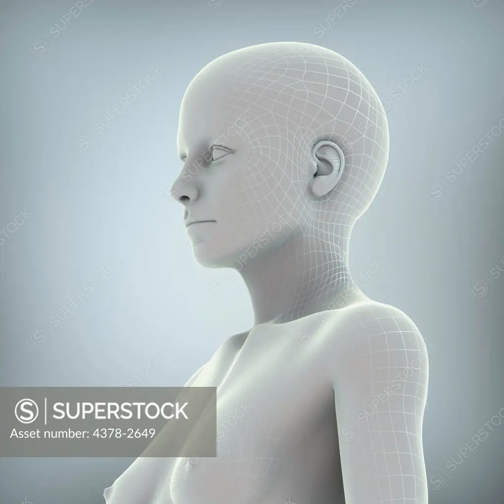 Wire frame model layered over a body to represent a digital human being.