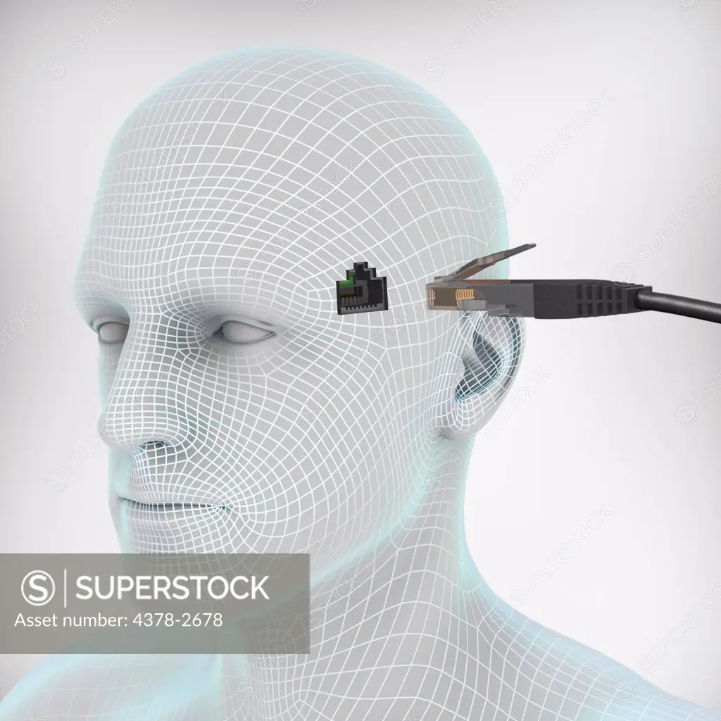 Diagram showing a LAN cable entering a socket on the side of a human head.