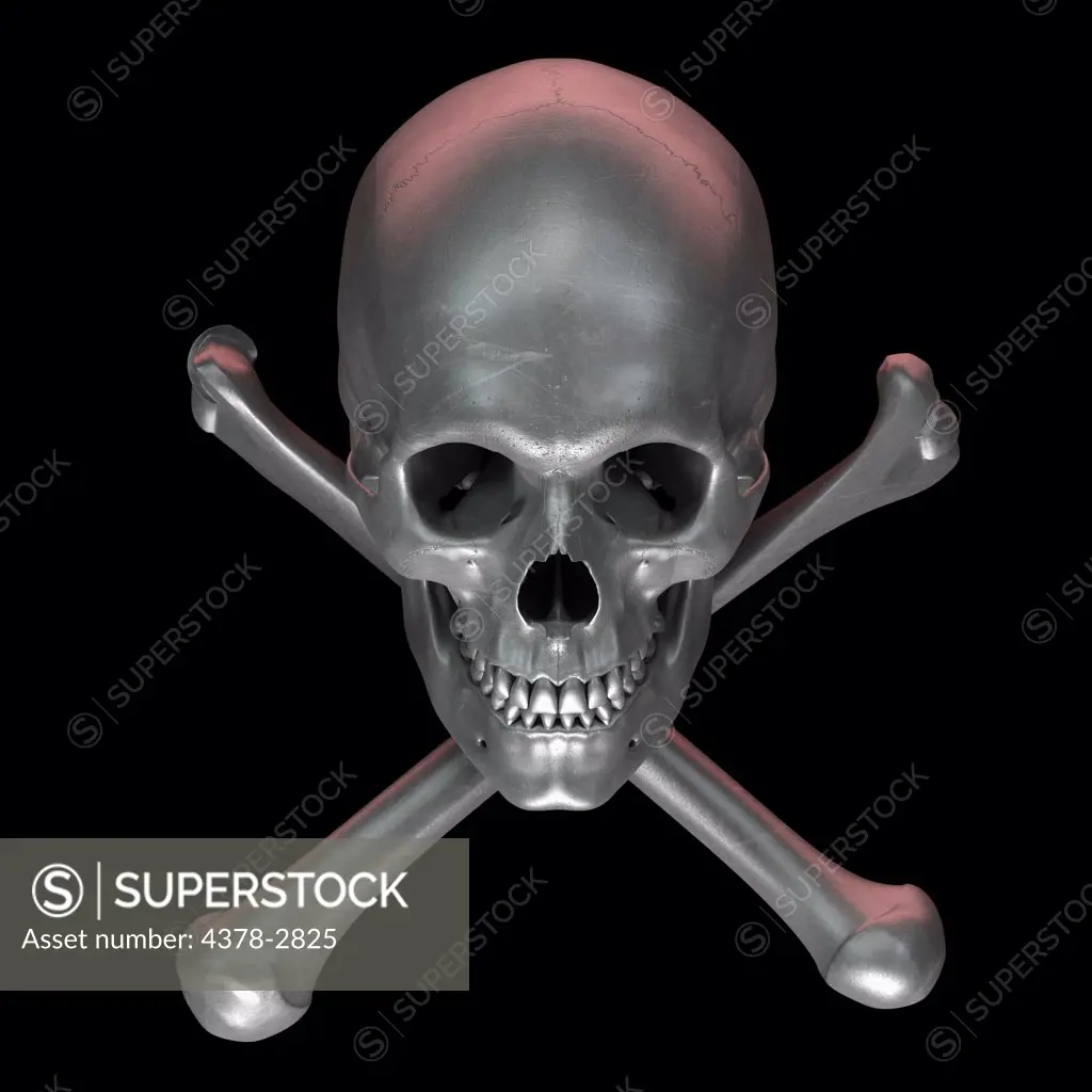 Metallic grey skull and crossbones symbolizing danger or death.
