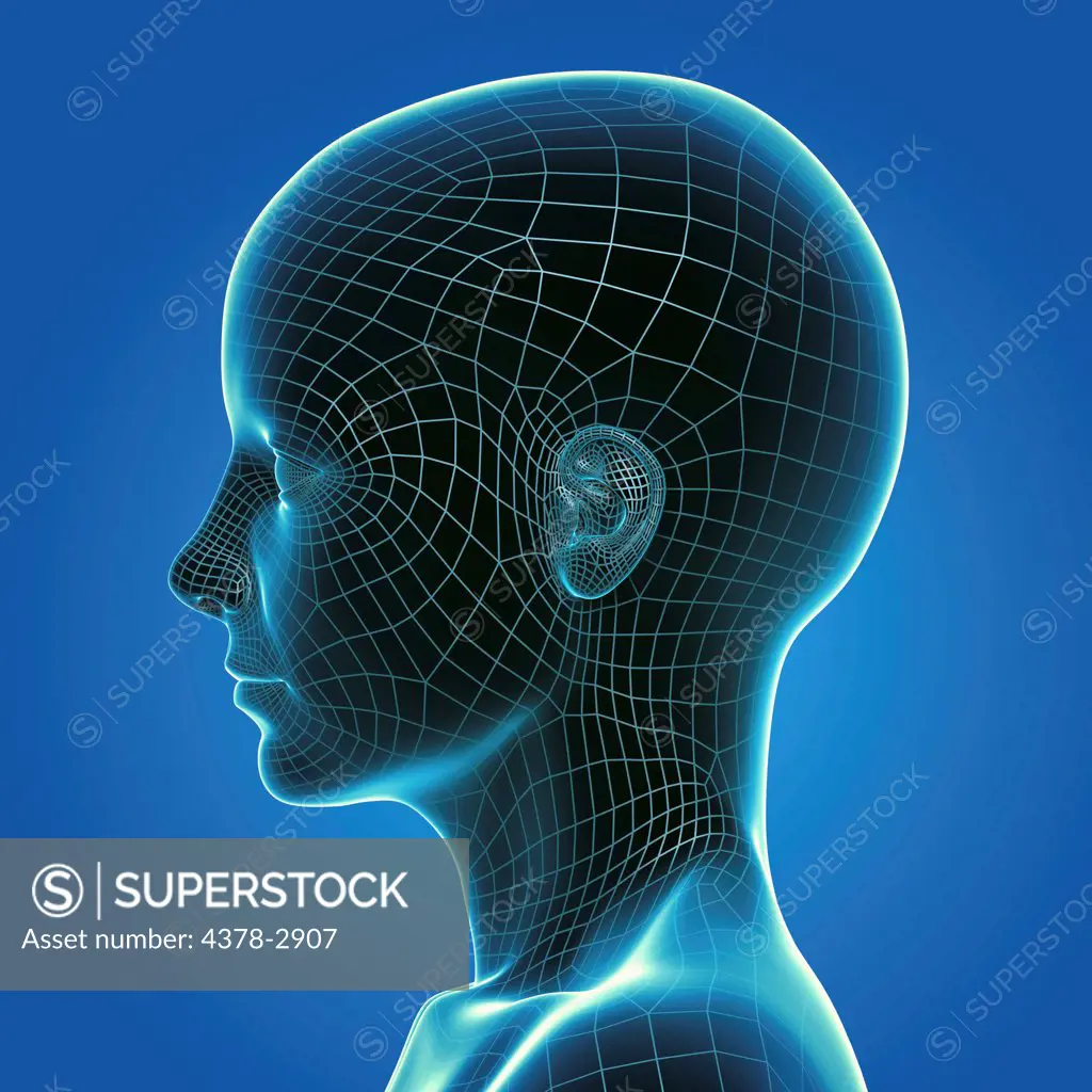 Wire frame model layered over a head to represent a digital human being.