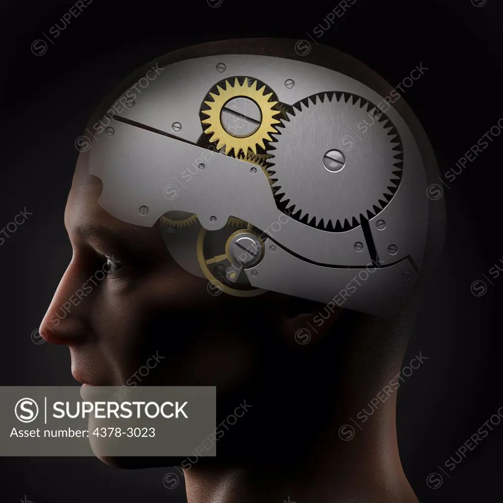 Anatomical model of a human head representing the human mind as a gear system.