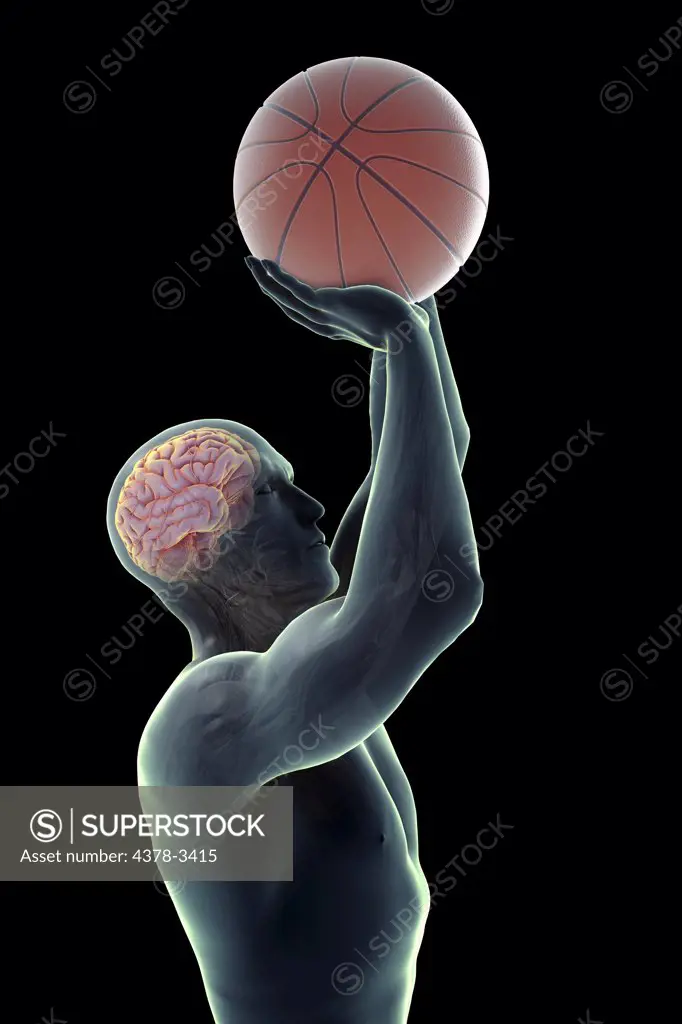 Male figure jumping with a basketball about to take a shot. The internal anatomy of the brain is visible within the head.
