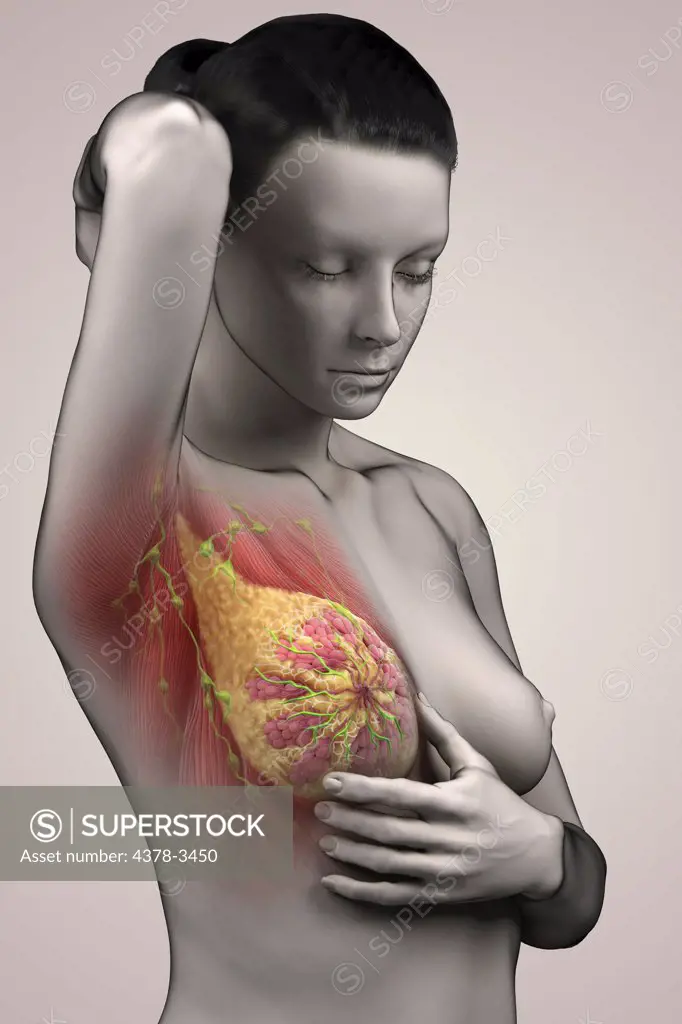 A young female figure examining her breast with internal anatomy visible.
