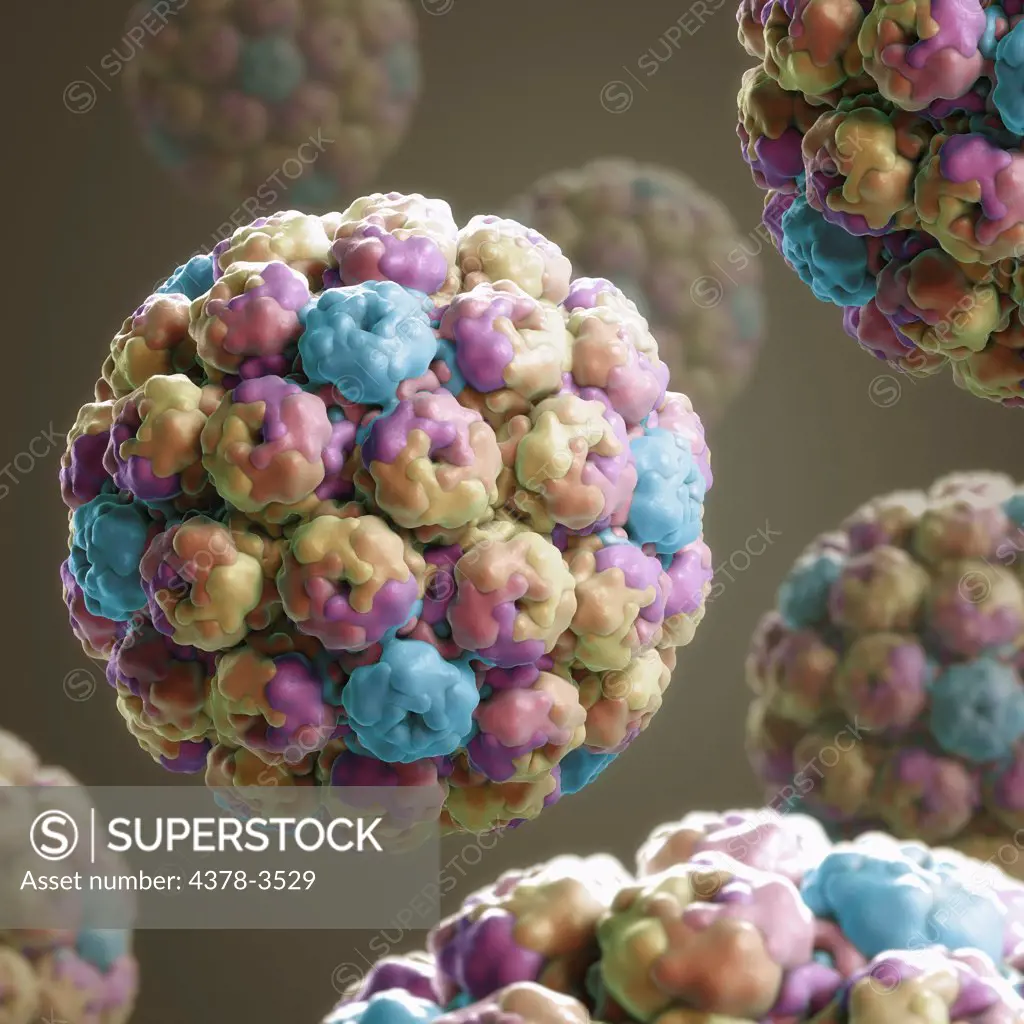 Structure of Simian Virus 40 (PDB 1SVA), a polyomavirus that is found in both monkeys and humans. SV40 is a DNA virus that has the potential to cause tumors, but most often persists as a latent infection.