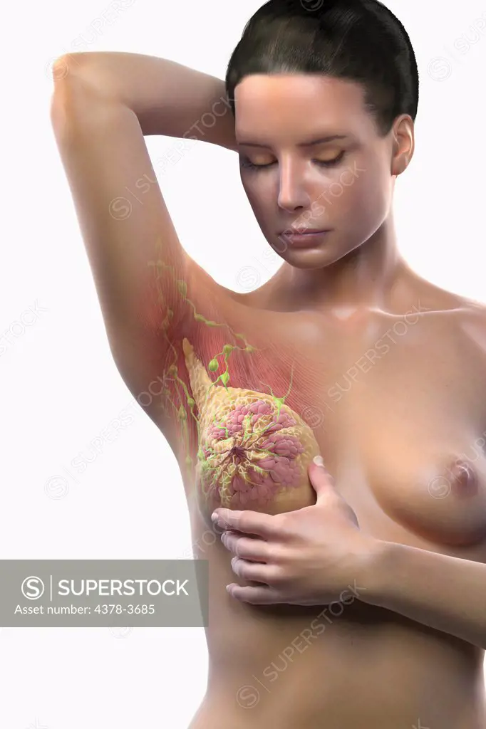 A young female figure examining her breast with internal anatomy visible.