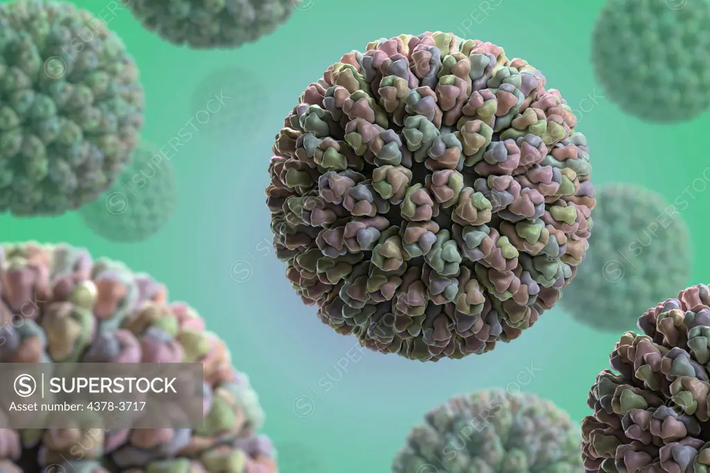 Structure of the Rotavirus (3GZU). Rotavirus is the most common cause of severe diarrhoea among infants and young children and is one of several viruses that cause infections often called stomach flu.