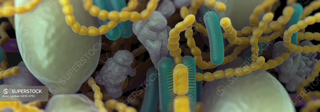 Close up of bacteria found in the mouth which can cause halitosis or bad breath.
