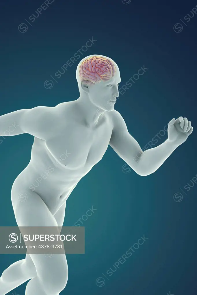 A sprinting male figure with the brain visible within the body.