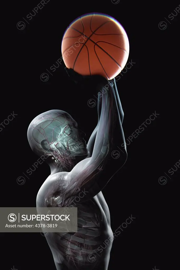 Male figure jumping with a basketball about to take a shot. The internal anatomy is visible within the body.