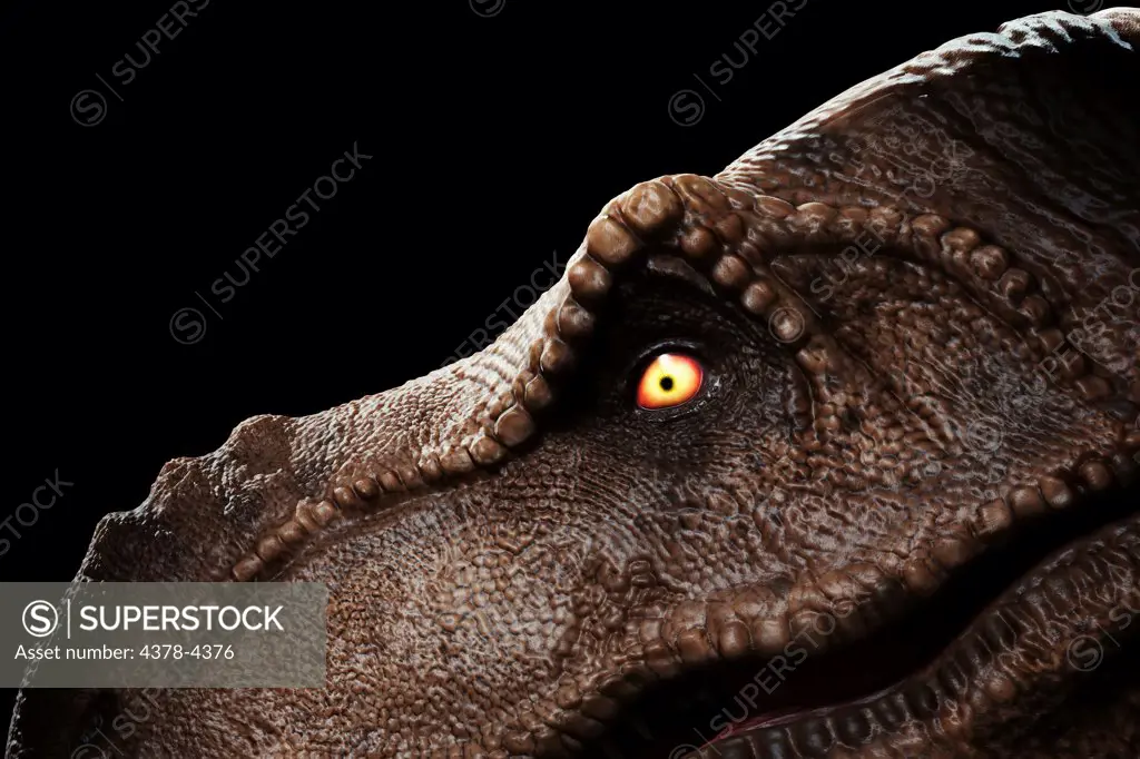 Dinosaur (Tyrannosaurus)