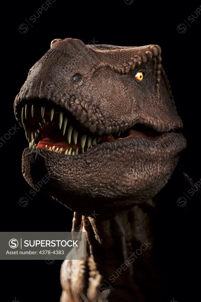 Dinosaur (Tyrannosaurus)