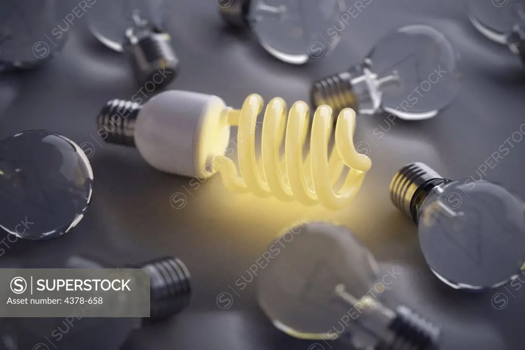 A lit energy light bulb surrounded by conventional bulbs.