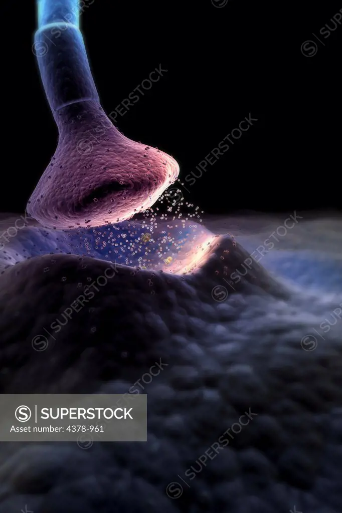 Microscopic styled visualization of a synapse.