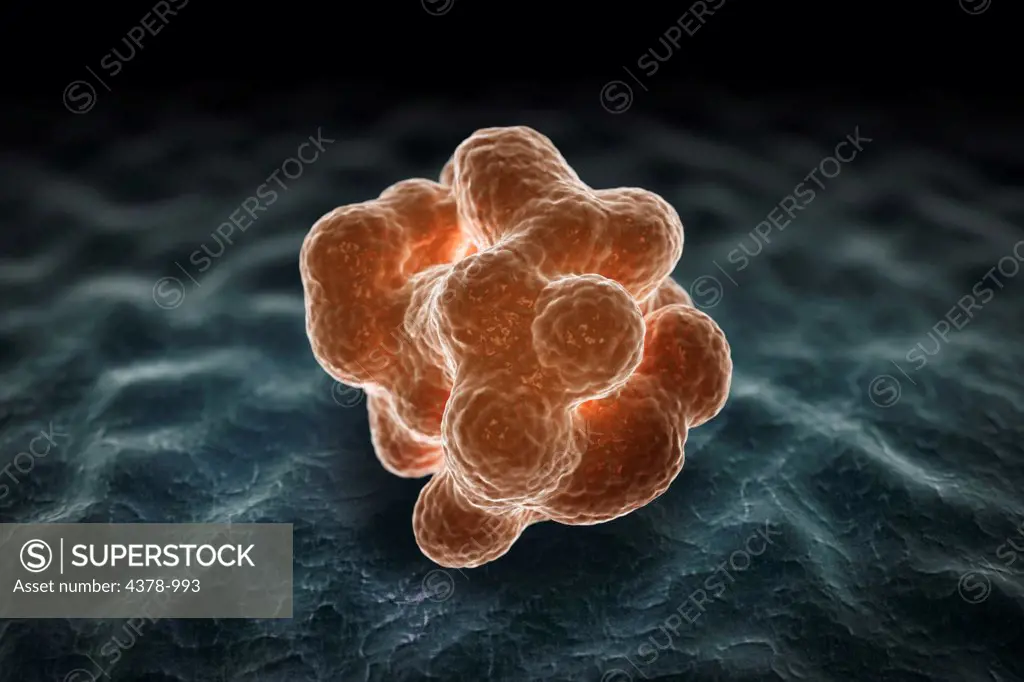 Stylized microscopic view of a stem cell.