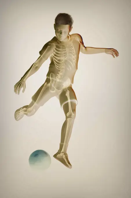 A pre-adolescent male child kicks a soccer ball. The bones are visible within the body to show the structures involved in movement.