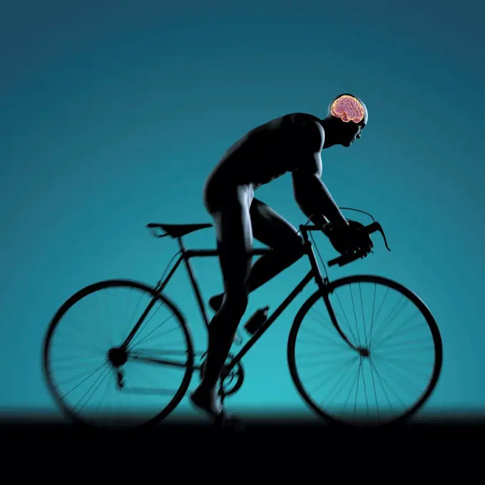 Silhouetted male figure cycling a bicycle with internal anatomy of the brain visible within the head.