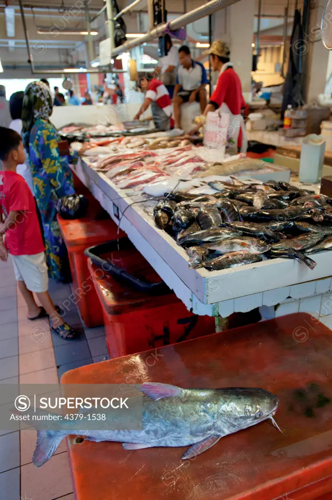 Large selection of fish and fish meat in the market, Brunei