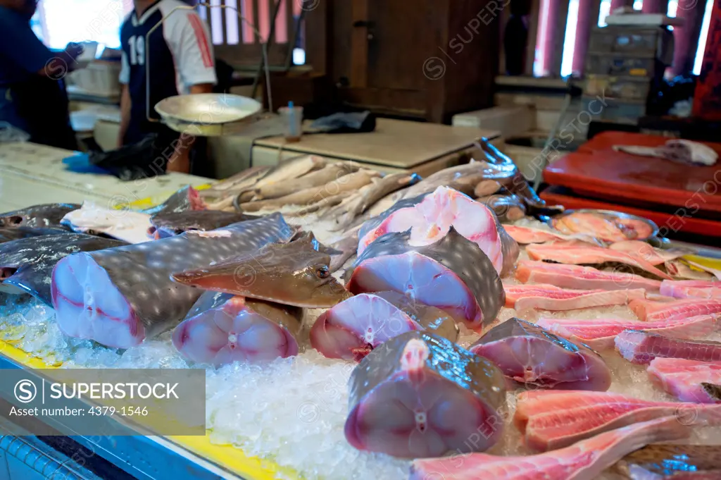 Butchered guitarfish for sale in a fish market, Brunei