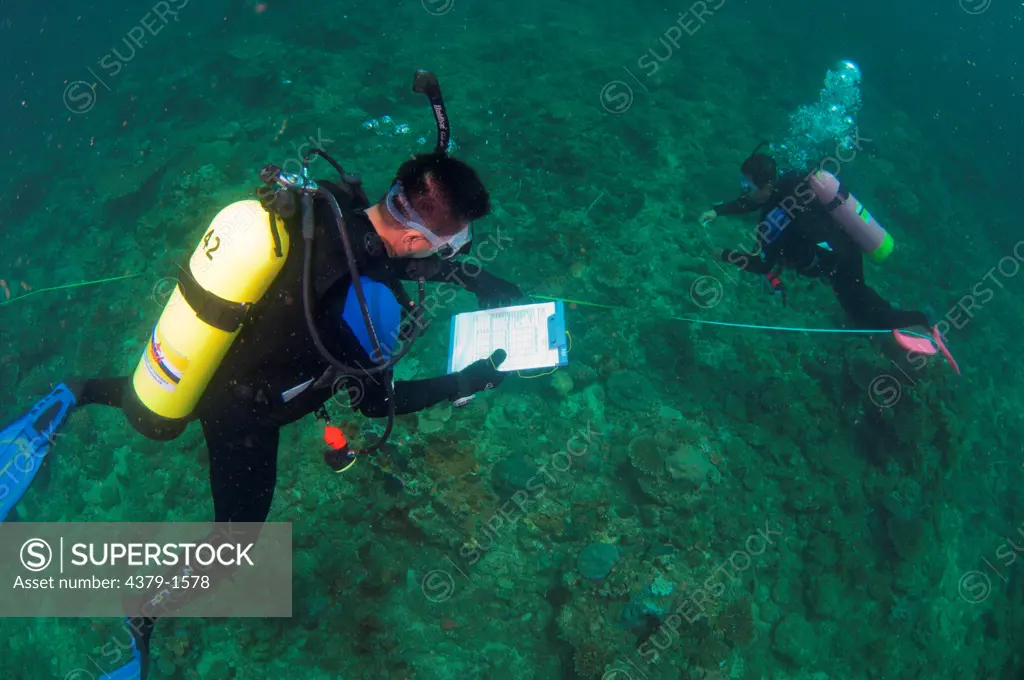 Fisheries conducting a reef management and biodiversity analysis, Brunei