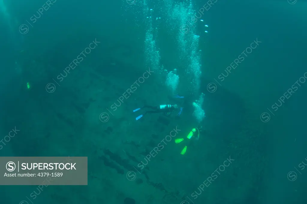 Scuba divers moving towards sunken barge wreck on seabed, Brunei