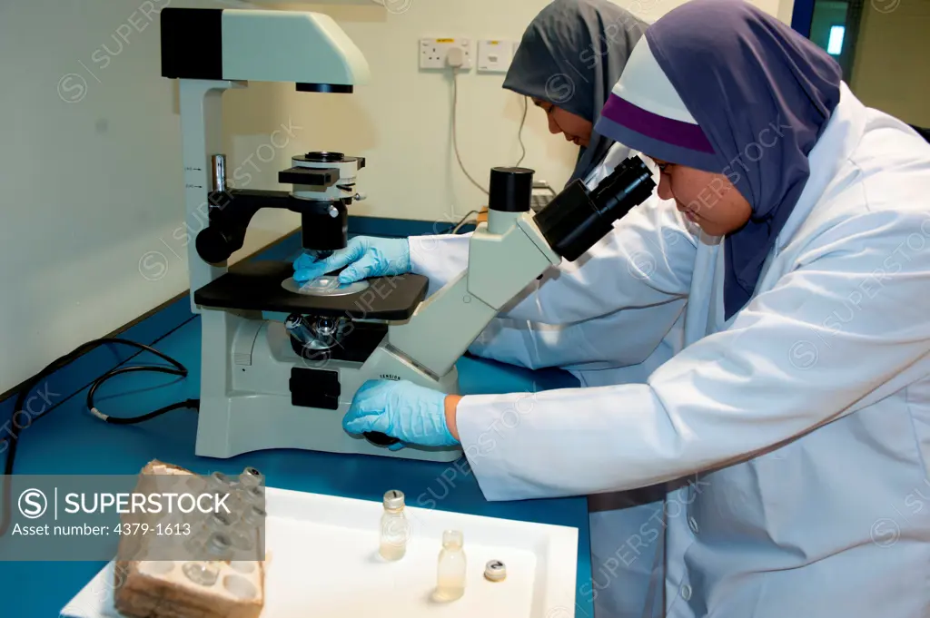 Scientists analyzing the water samples taken at sea, Brunei