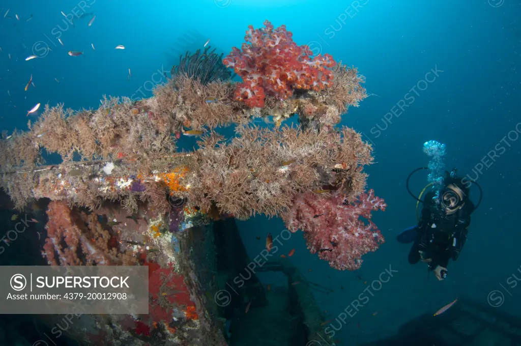 Kapalai wreck, Diver swimming around wreck, Kapalai, Sabah, Borneo, Malaysia