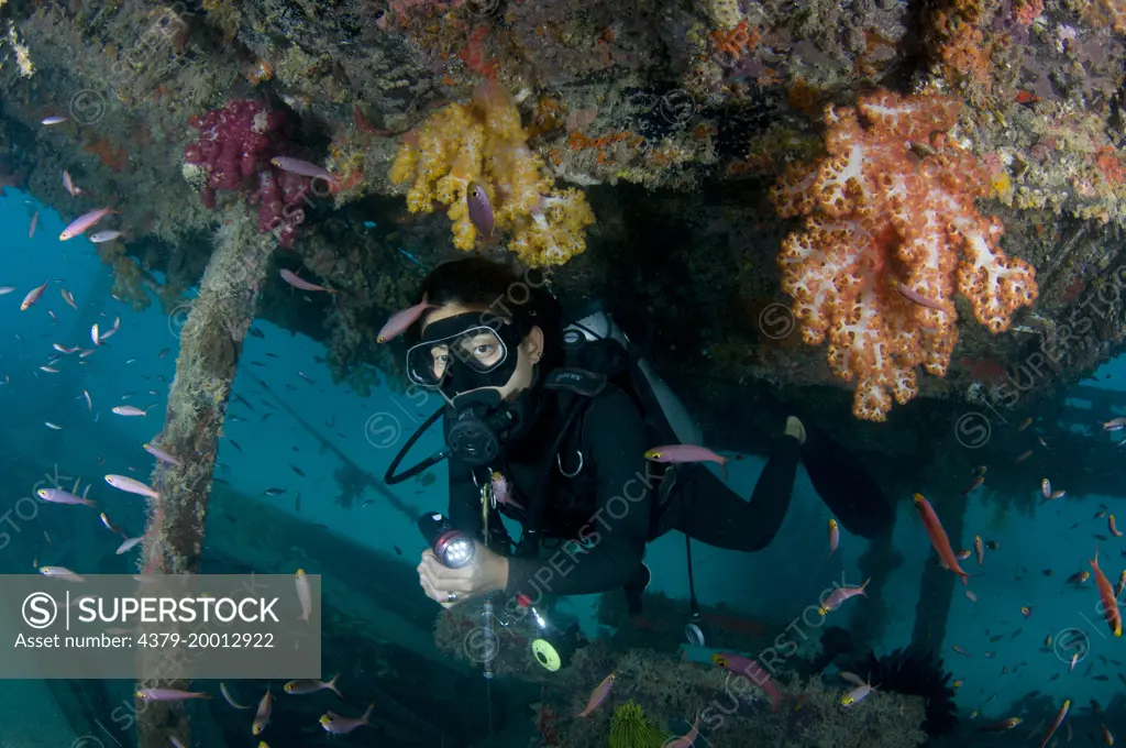 Kapalai wreck, Diver inside wreck, Kapalai, Sabah, Borneo, Malaysia