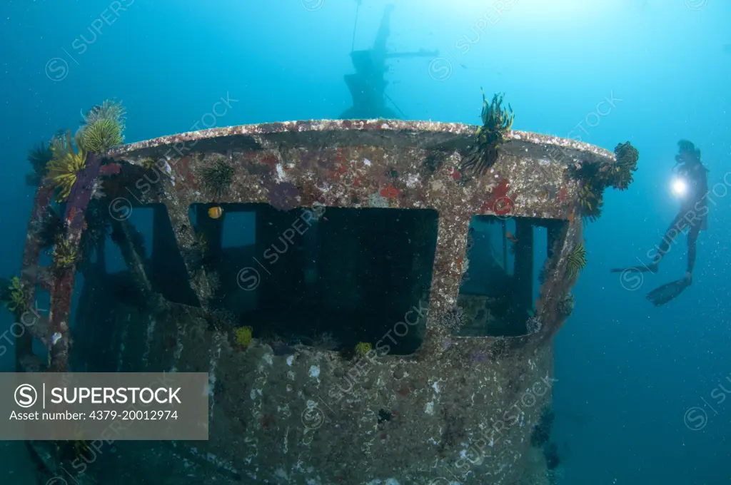Kapalai wreck, Diver observing the wreck, Kapalai, Sabah, Borneo, Malaysia